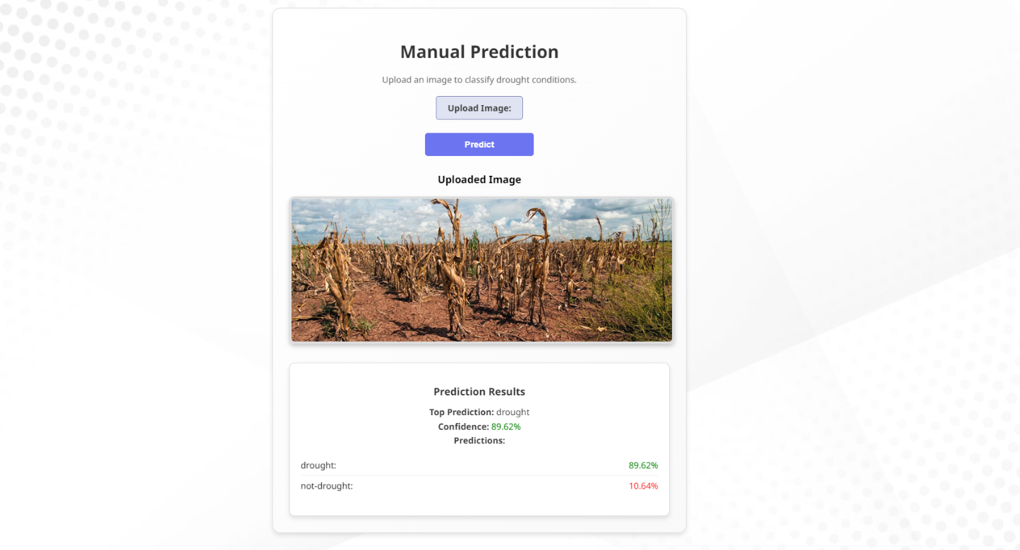 Portfolio Website 